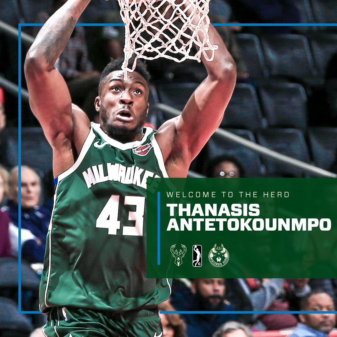 的指导意见 的指导意见